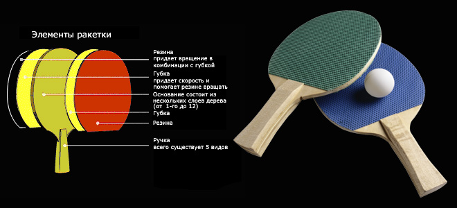 Как выбрать ракетку для настольного тенниса?