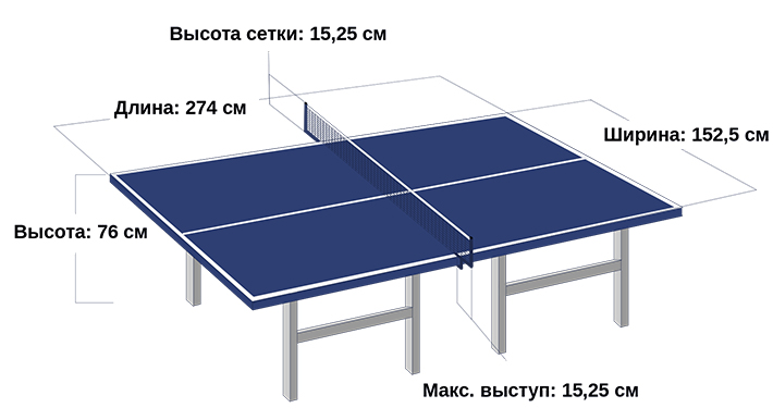 Стол для настольного тенниса: размеры и виды